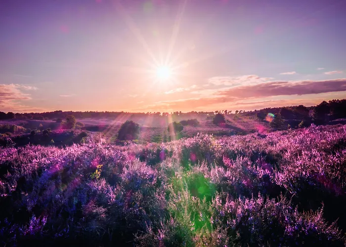 Hotel Der Valk Arnhem