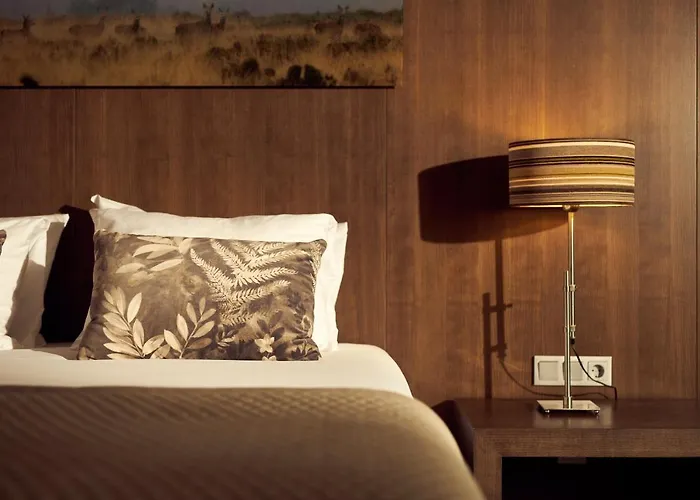 Der Valk 4* 아른헴