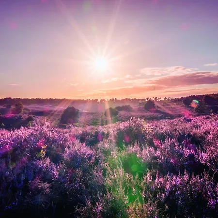 호텔 Der Valk 아른헴